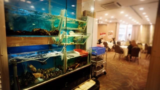 Harvest Seafood Restaurant, discounts up to 50% - eatigo